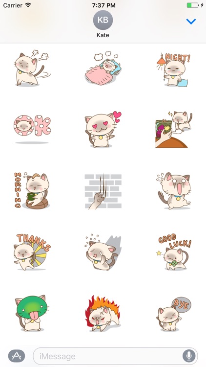 Funny Kitten Sticker