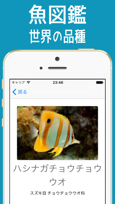 さかな図鑑 世界の品種 =魚 554種類= screenshot1