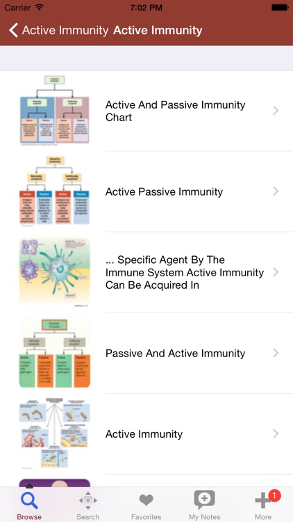 1000 Allergy,Asthma Dictionary