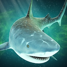 Activities of Shark in Beach Simulator: Chaos in Paradise Island