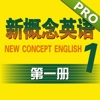 new concept English book 1 - first things 5 touch