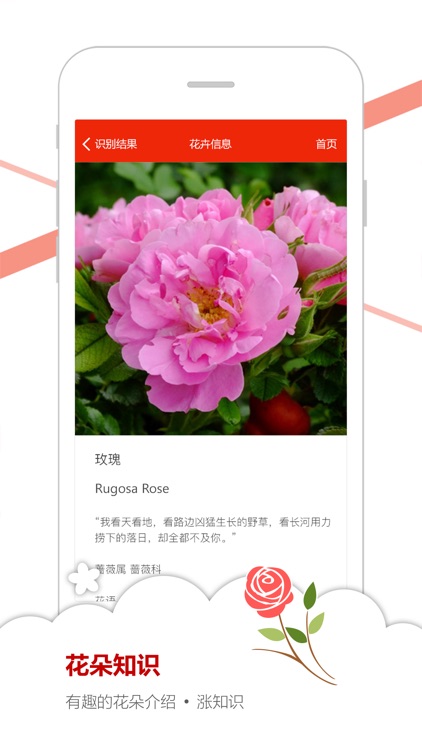 微软识花 screenshot-3