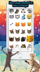 Cat Emojis screenshot #1 for iPhone