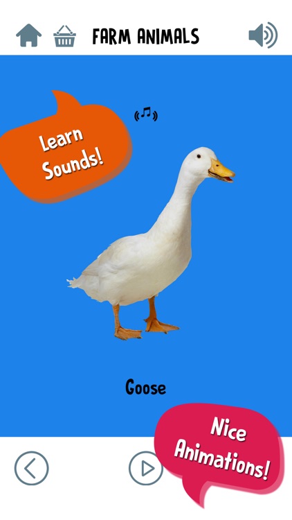 First Words for Baby: Animals screenshot-4