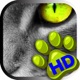 Animal Wallpapers – Free Pics and Background.s app icon - Lifestyle app for iPhone