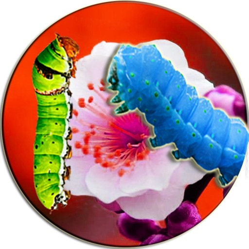 Caterpillar In Photo Simulator icon