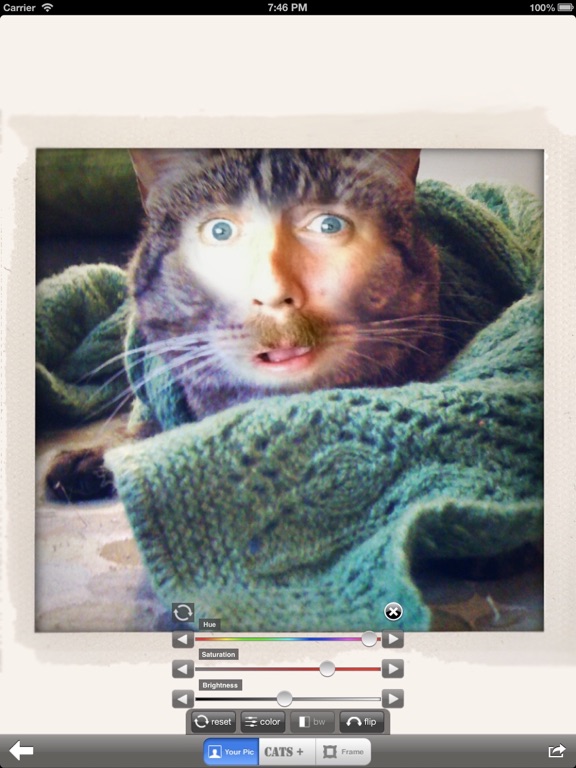 Cat Me! iPad screenshot 4 - Photo & Video app