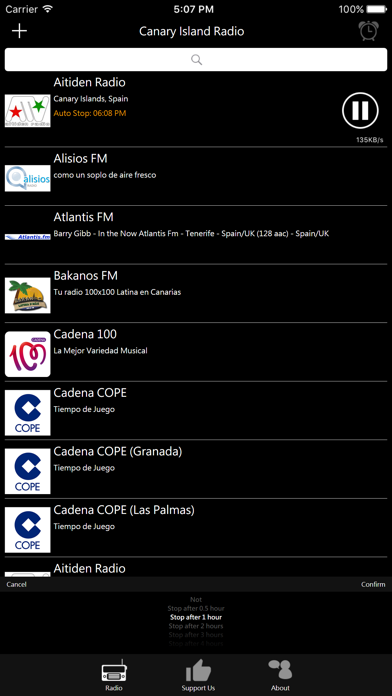 Screenshot #3 pour Canary Islands Radio