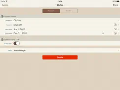 My Budgets iPad image 2
