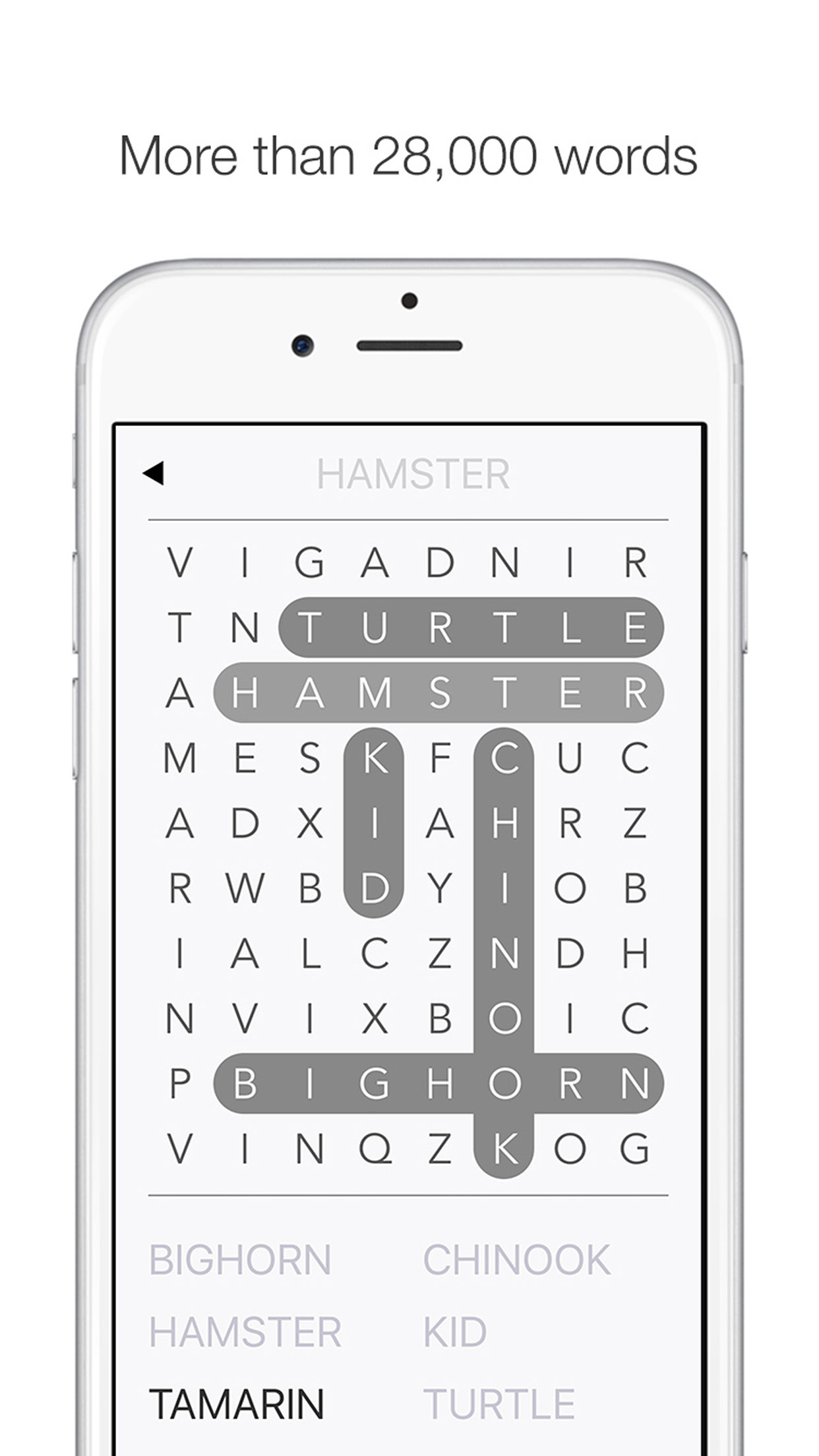 Wordsearch Galore! screenshot 4