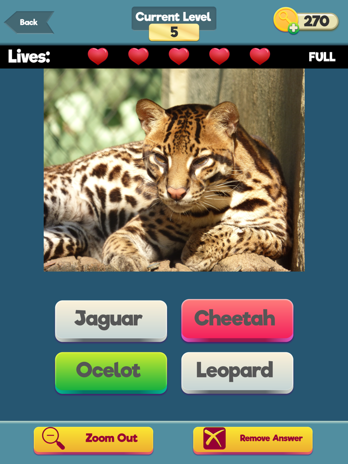 Zoom Trivia - Animals Edition