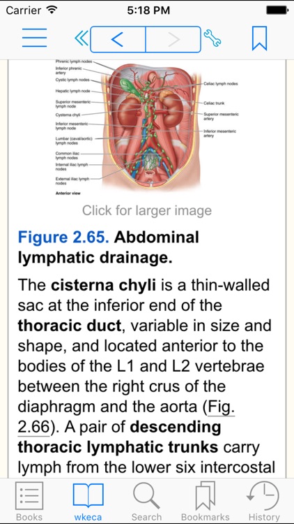 Essential Clinical Anatomy, Fifth Edition