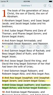holy bible. new testament. the king james version iphone screenshot 1