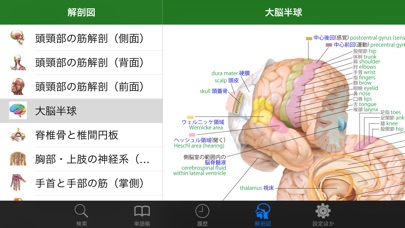 ステッドマン医学大辞典 改訂第6版 screenshot1