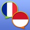 Icon French Indonesian dictionary