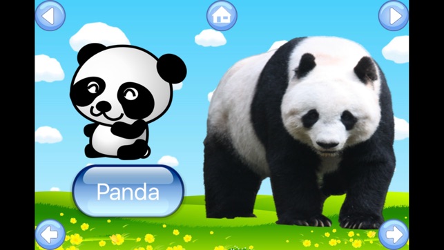 Zoo Animals My First English Learning Flash Cards(圖2)-速報App