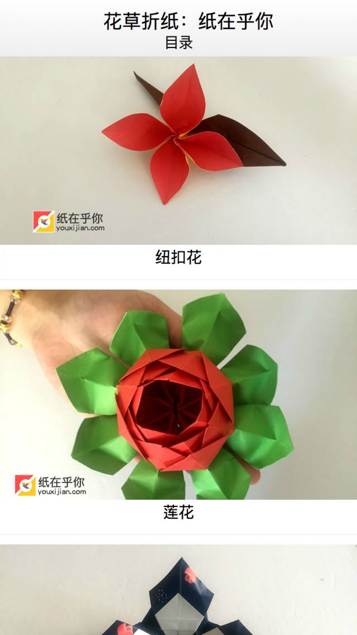 花草折纸: 纸在乎你