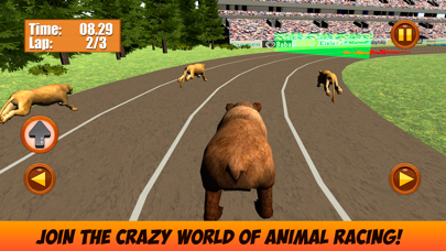 Screenshot #1 pour Wild Animal Racing Challenge 3D