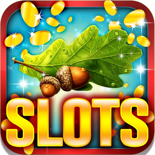 The Oak Slots: Conquer the glorious leaves rewards