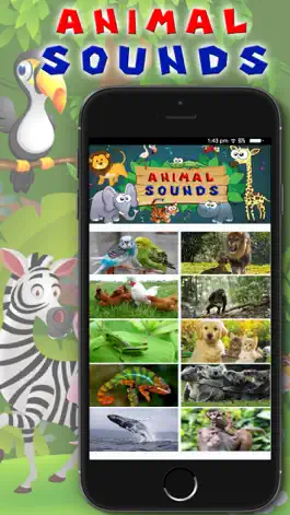 Game screenshot Animal Sounds - Toddler Animal Sounds and Pictures apk