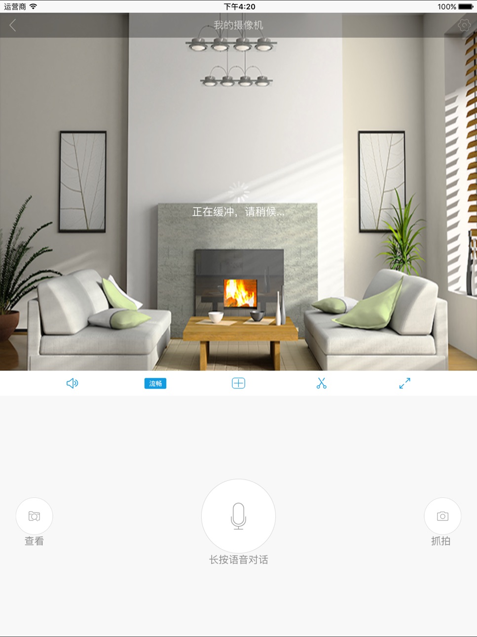 iPad screenshot