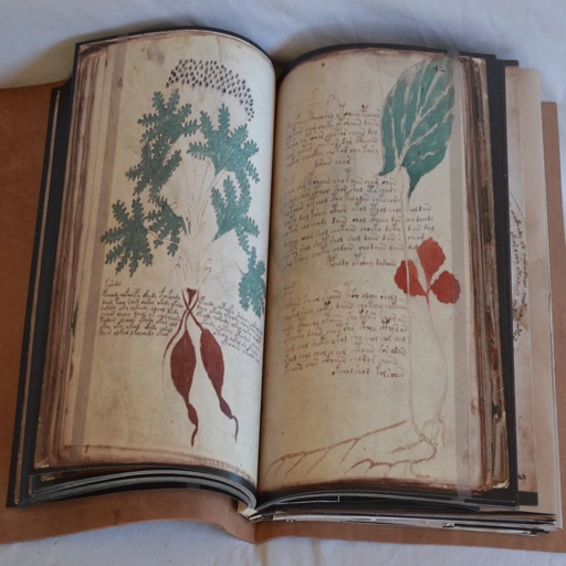 Voynich Manuscript Kit