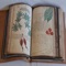 Voynich Manuscript Kit is a great collection with photos and info