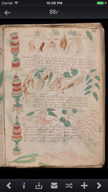 Voynich Manuscript Kit