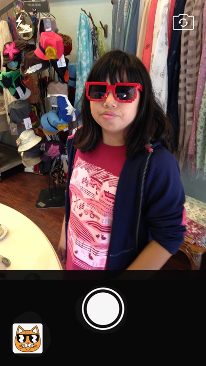 Cat Stickers for Messages & Photos screenshot-3