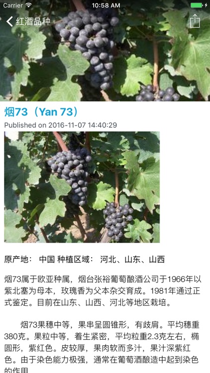 红酒鉴赏世界 - 红酒葡萄酒百科知识