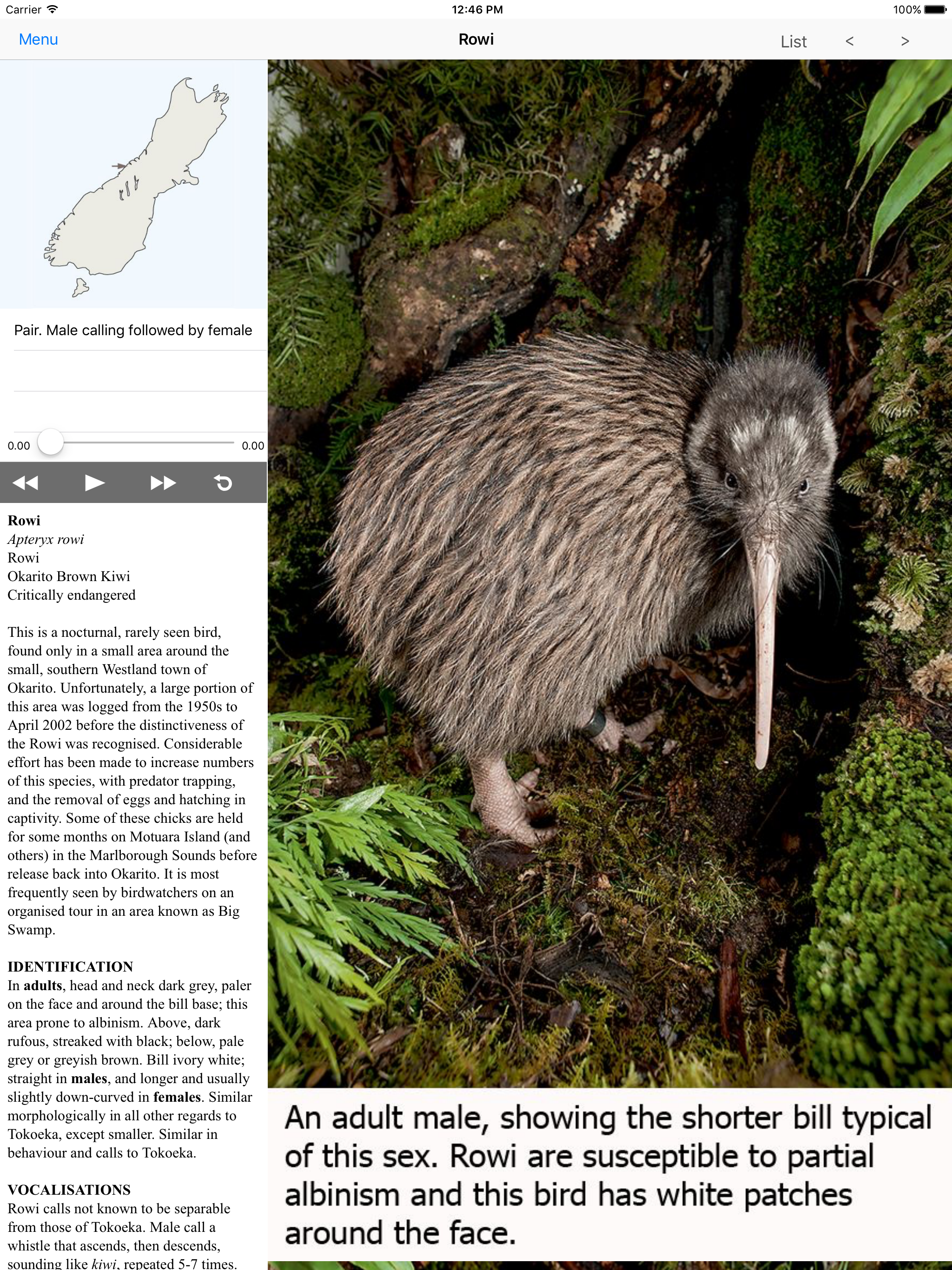 Birds of New Zealand