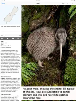 Birds of New Zealand iPad image 1