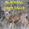 Icon Blacktail Deer Calls Sounds