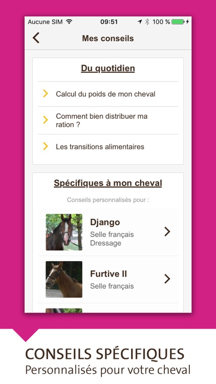 Bien nourrir son cheval - Destrier screenshot-3