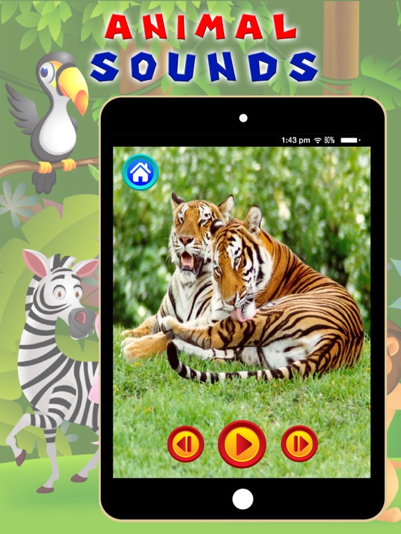 Screenshot #6 pour Animal Sounds - Toddler Animal Sounds and Pictures