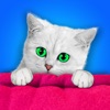 Icon Find the Cats! ~ Free Photo Shuffle Games