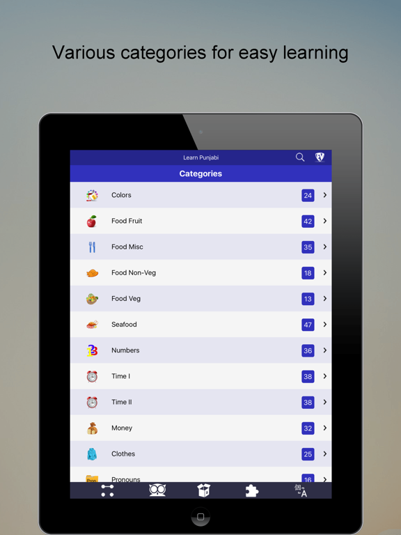 Screenshot #4 pour Learn Punjabi Language