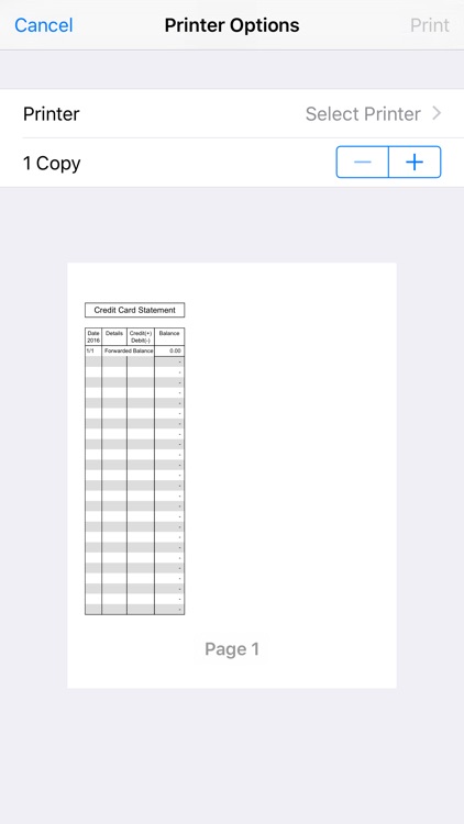 Credit Card Ledger