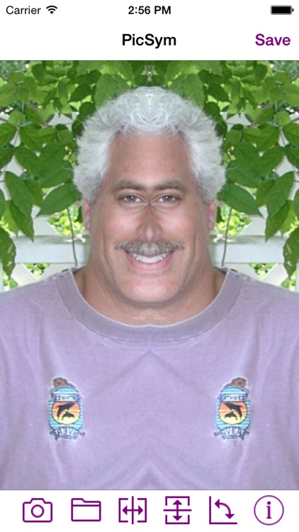 PicSym