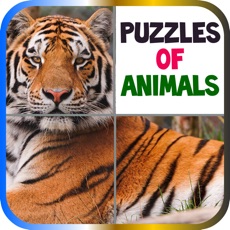 Activities of Puzzles of Animals