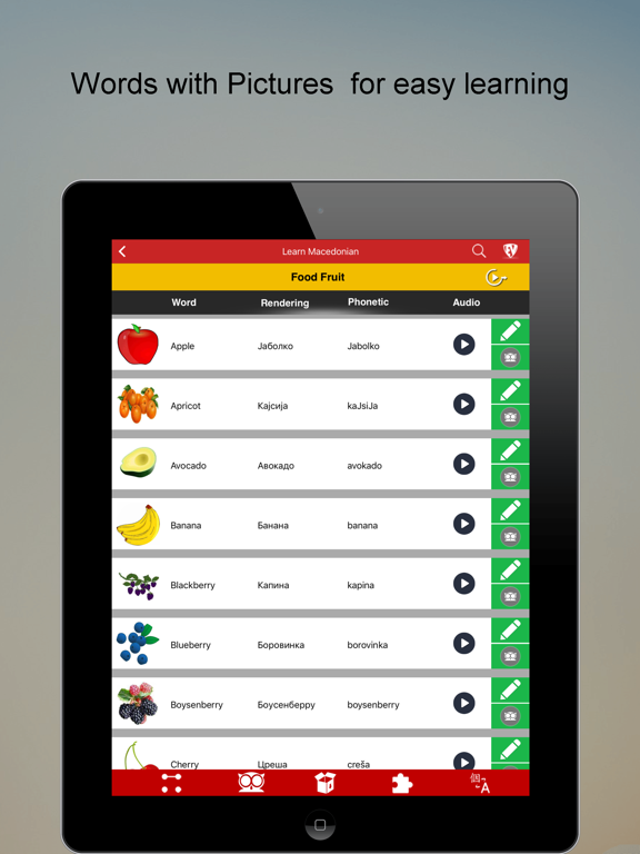 Screenshot #4 pour Learn Macedonian SMART Guide