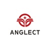 AngleCT