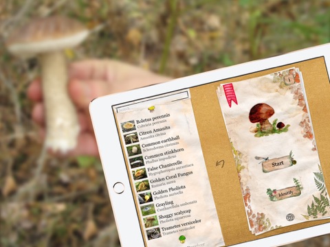 Screenshot #4 pour Le guide des champignons PRO