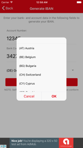 IBAN-Test screenshot