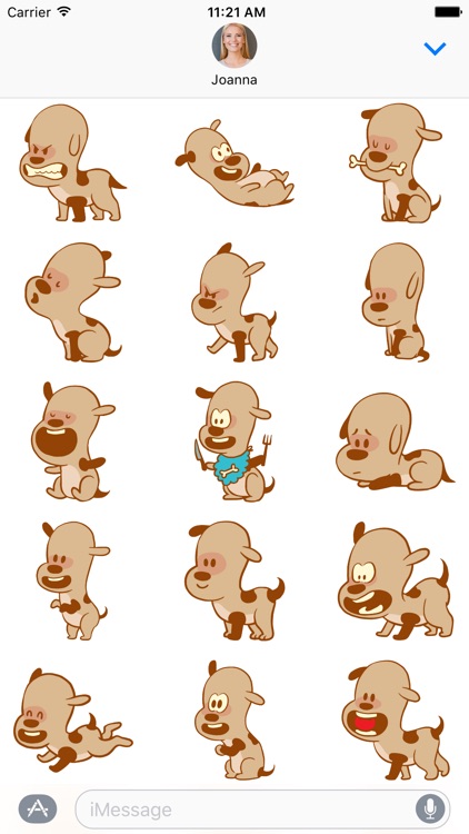 Adorable Dog