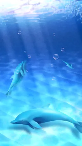 Game screenshot Aquarium Dolphin Simulation Game apk