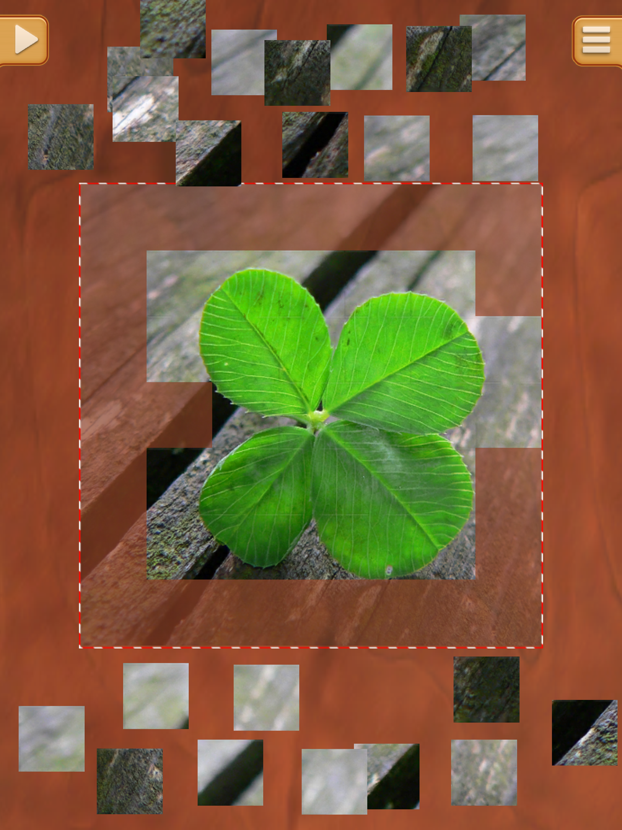 Leaf Puzzle Games - Real Picture Jigsaw Puzzles