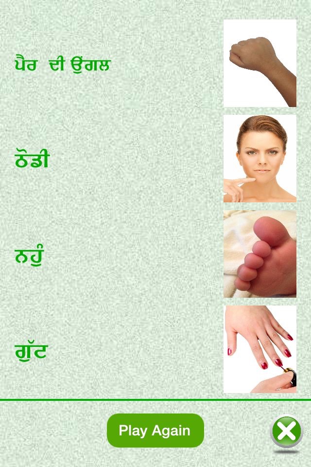 Flashcards Punjabi Lesson screenshot 4