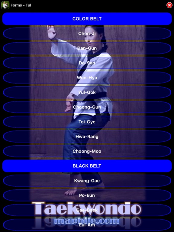 Screenshot #6 pour Taekwondo ITF