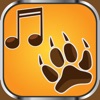 Icon Animal Ringtones Soundboard – Crazy Noises and Funny Sound Effects Free